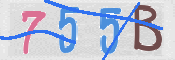 キャプチャ画像