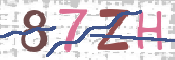 キャプチャ画像