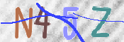 キャプチャ画像