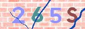 キャプチャ画像