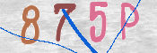 キャプチャ画像