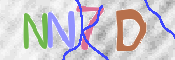 キャプチャ画像