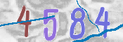 キャプチャ画像