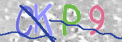キャプチャ画像