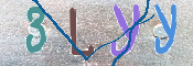 キャプチャ画像