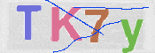 キャプチャ画像