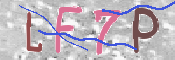 キャプチャ画像