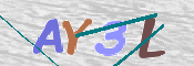 キャプチャ画像