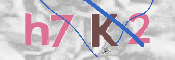 キャプチャ画像