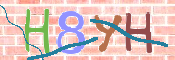 キャプチャ画像