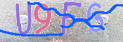 キャプチャ画像