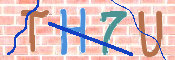 キャプチャ画像
